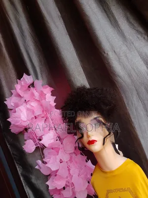 Wigs, Hairs
