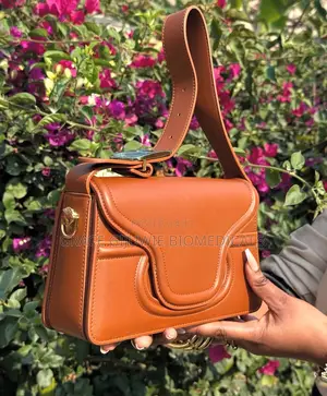 Ladies Beautiful Hand Bags