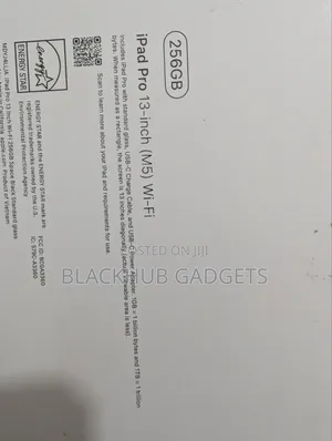 Apple iPad Pro 13 (2024) 256 GB Gray