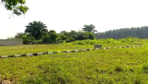 C Of O Land For Sale In Ibeju-lekki Near Dangote Refinery Lekki Ftz