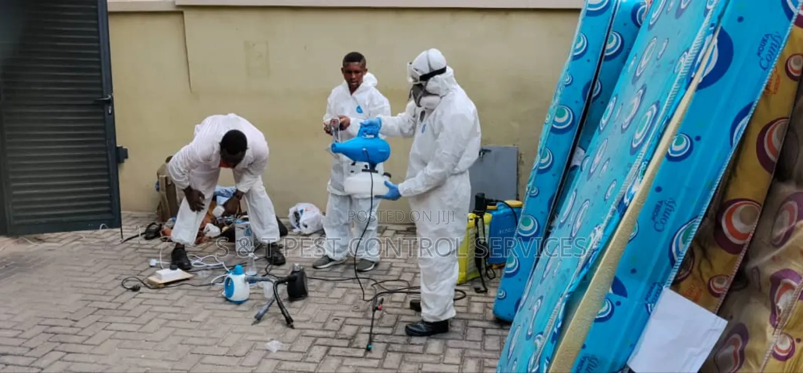 Bed Bugs Exterminator Services