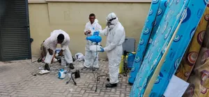 Bed Bugs Exterminator Services