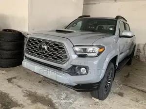 Toyota Tacoma 2021 Gray