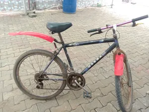 Magna Bicycle