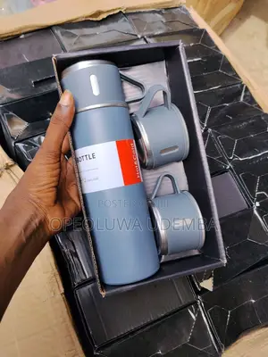 3 in 1 Vacuum Flask