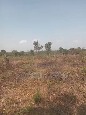 30 Acres Of Land For Sale