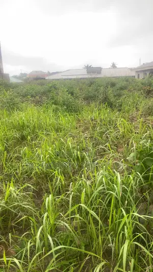 Direct From Owner - A Full Plot of Land