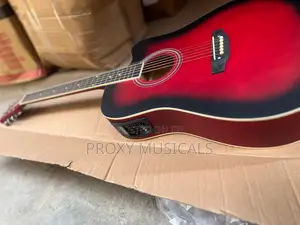 Electroacoustic/Semi Acoustic Guitar