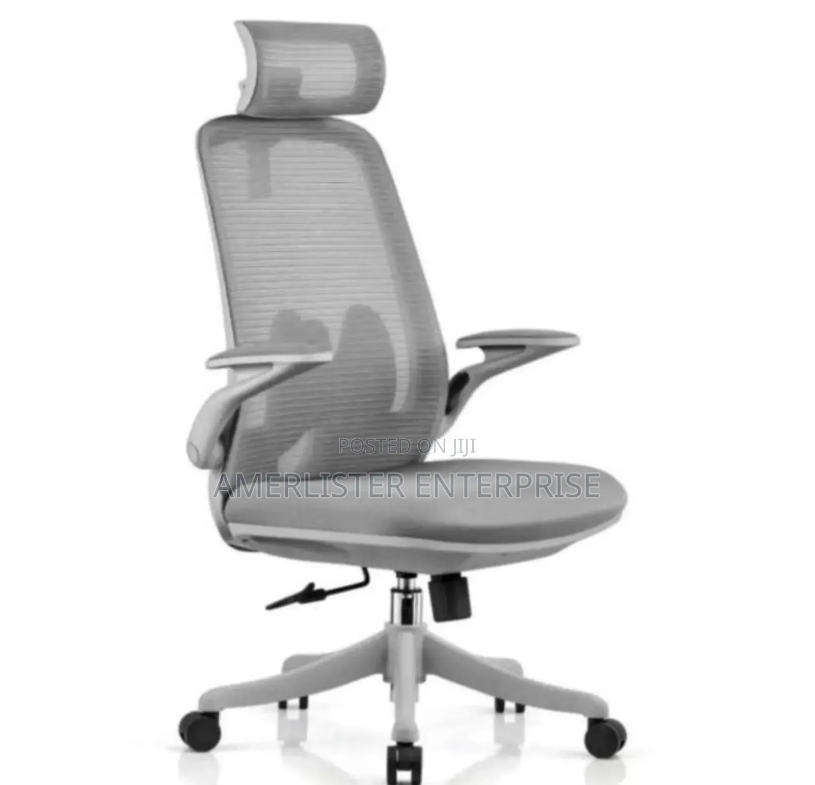 Ergonomic Chair 2