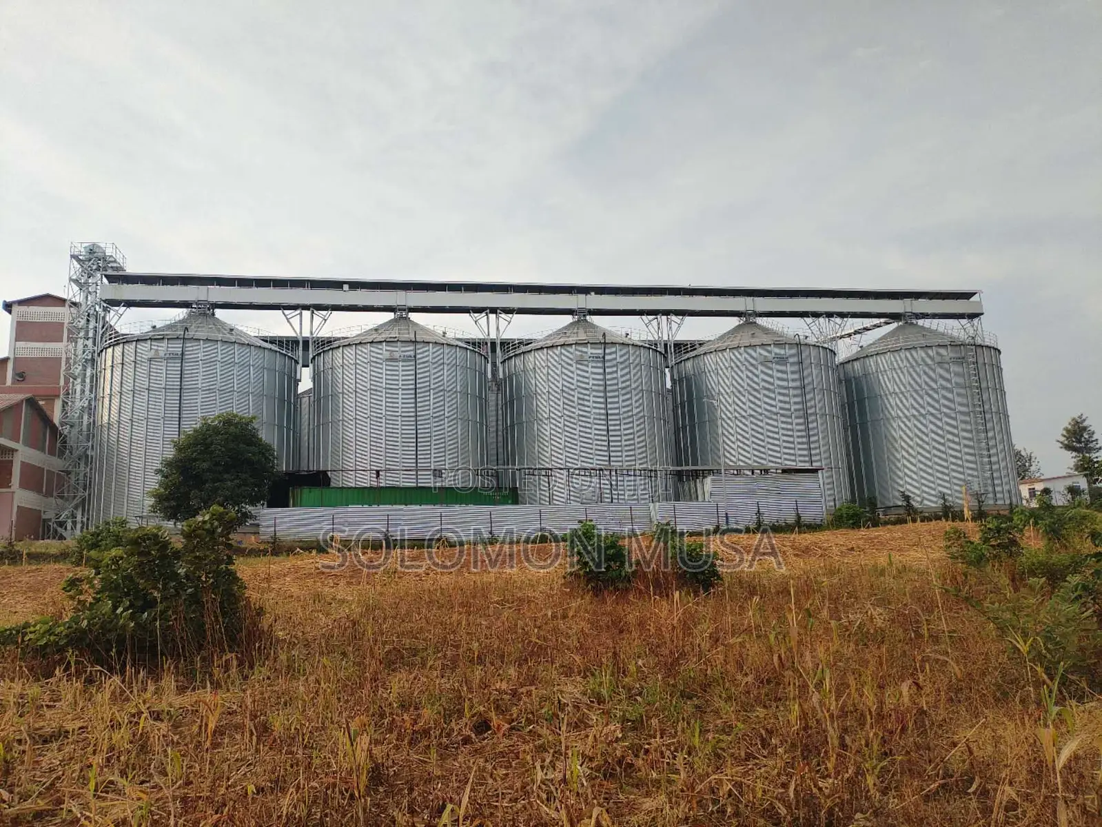Silo for Grain Storage