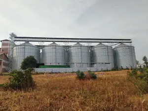 Silo for Grain Storage
