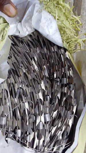 Razor Security Wire