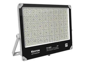 Keston Floodlight 220-240w