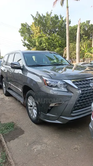 Lexus GX 460 Luxury 2019 Gray