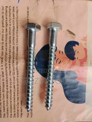 Screw Bolt