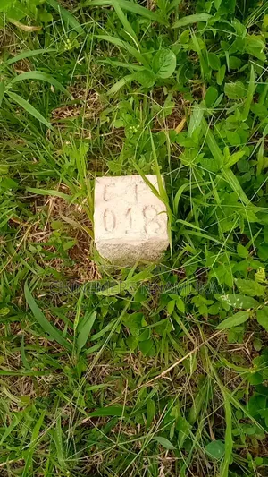 Landed Property