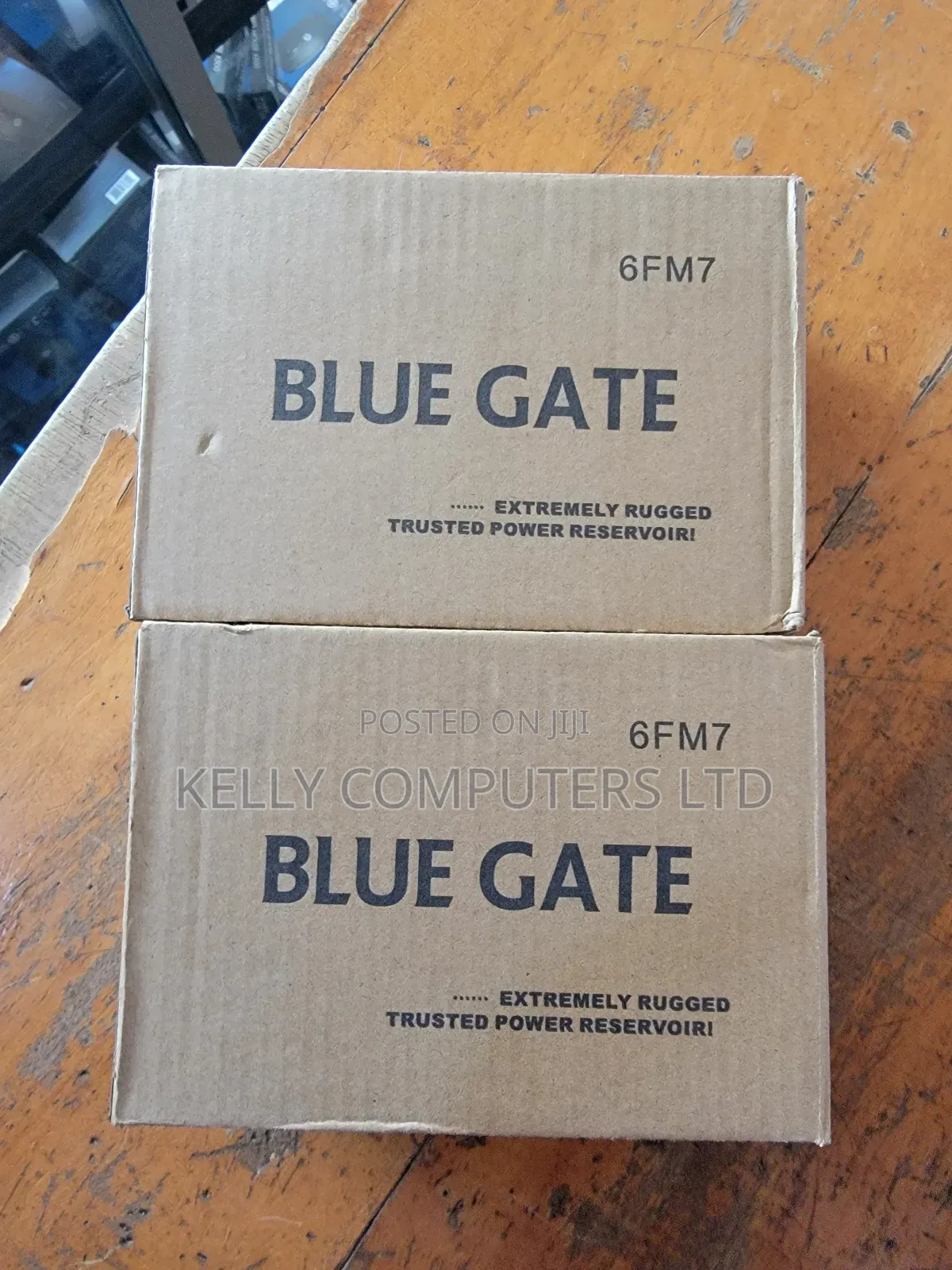 Blugate Ups Battery