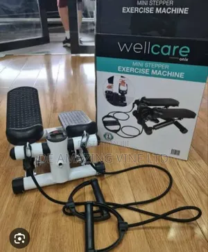 Wellcare Mini Stepper