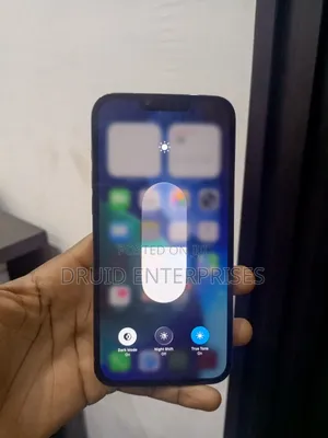 Apple iPhone 13 Pro Max 256 GB Blue