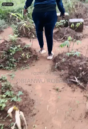 Landing Property