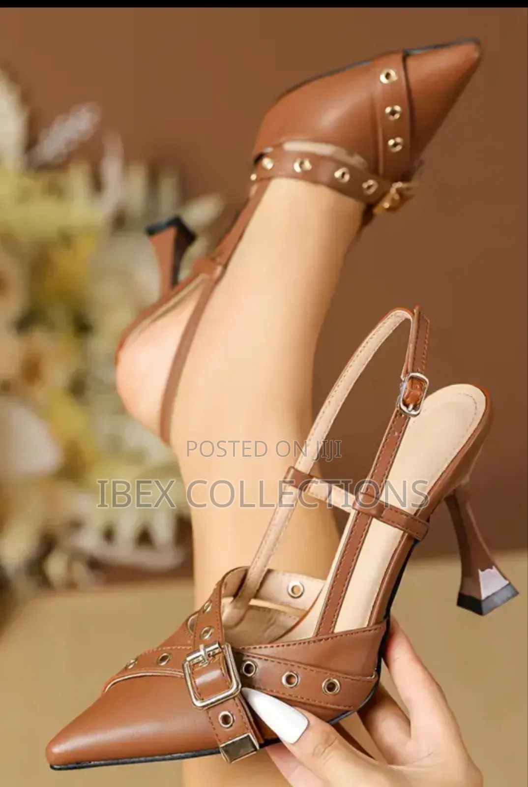 Ibex Collection