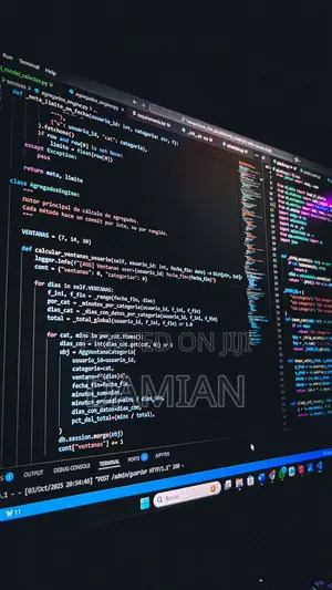 Web Developer and It Services