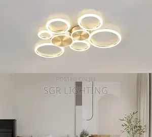 Modern Led Ceiling Chandelier and Aluminum Ceiling Lamp