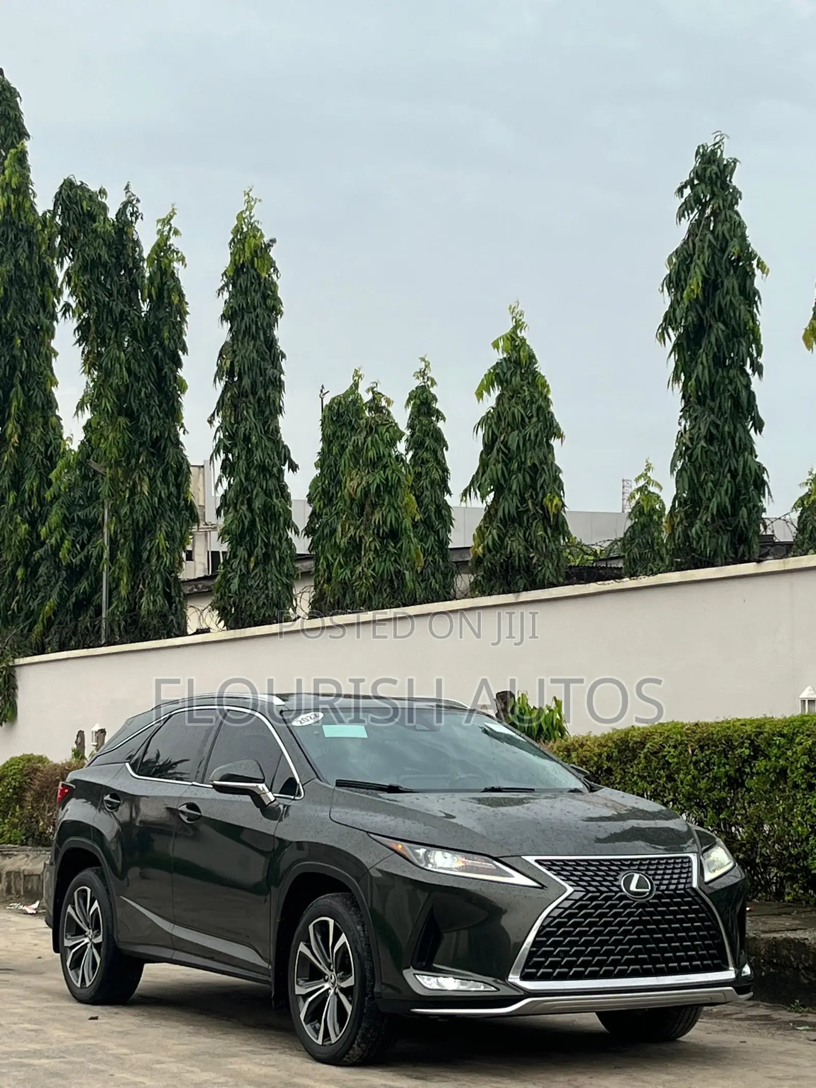 Lexus RX 2022 Black