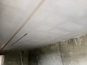 Gypsum Casting Ceiling
