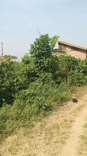 Plot Land for Sale