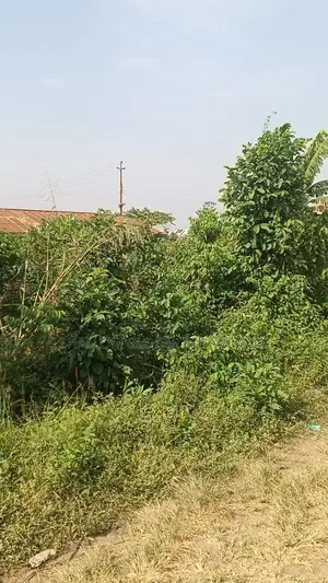 Plot Land for Sale