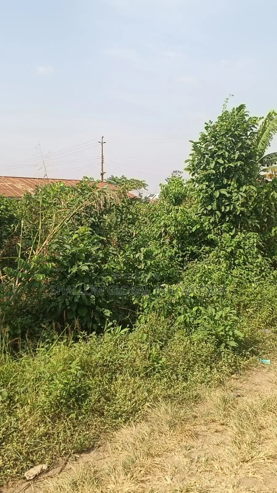 Plot Land for Sale