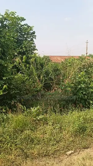 Plot Land for Sale