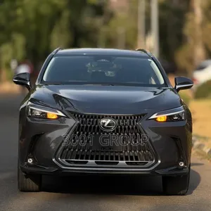 Lexus NX 250 AWD 2024 Gray