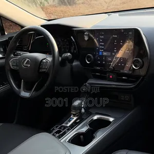 Lexus NX 250 AWD 2024 Gray