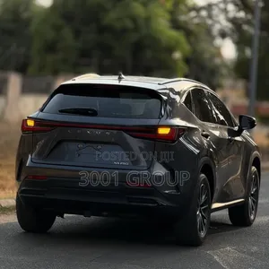 Lexus NX 250 AWD 2024 Gray