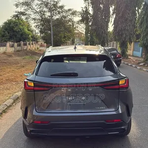 Lexus NX 250 AWD 2024 Gray