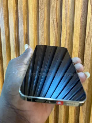 Apple iPhone 12 Pro Max 256 GB Gold