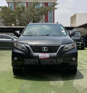 Lexus RX 2010 Gray