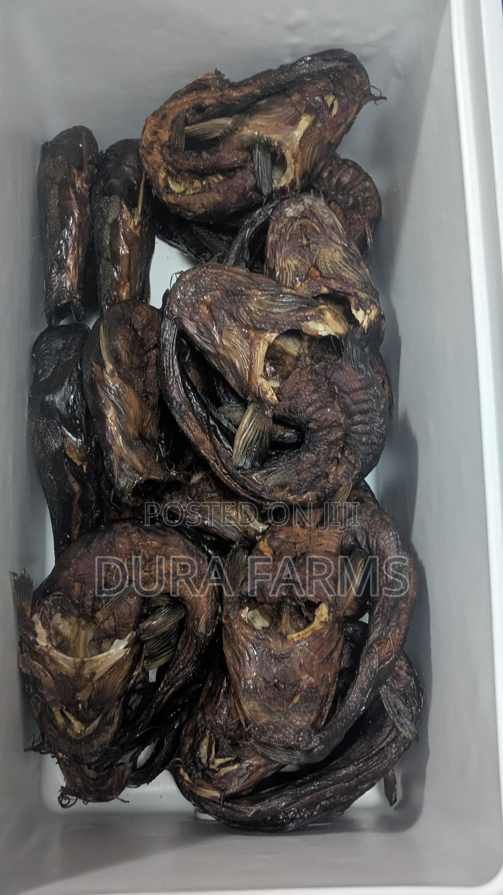 Dried Catfish