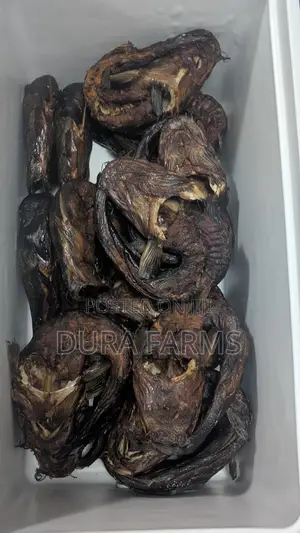 Dried Catfish
