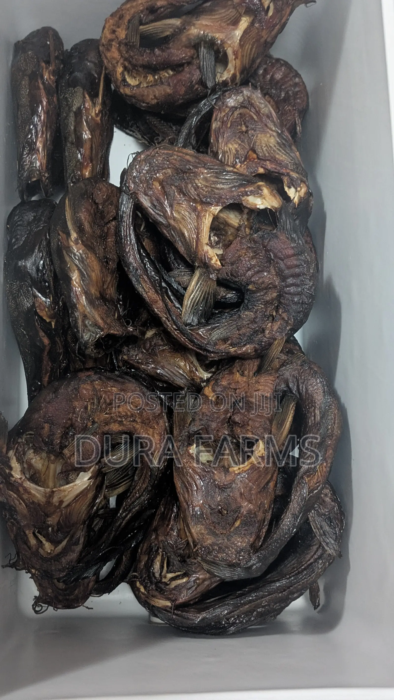 Dried Catfish