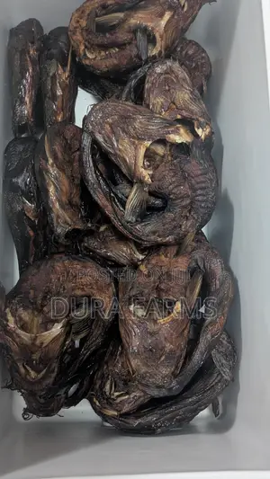 Dried Catfish