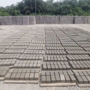Interlocking Stones/Paving Stones