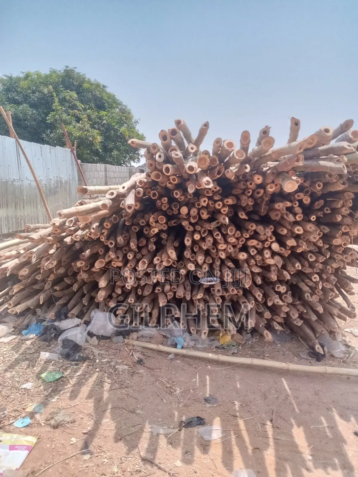Strong Bamboo