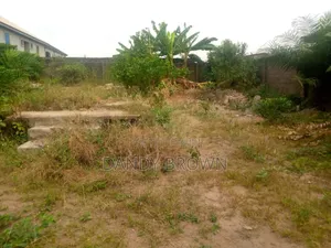 Receipt, Survey and Deed of Assignment