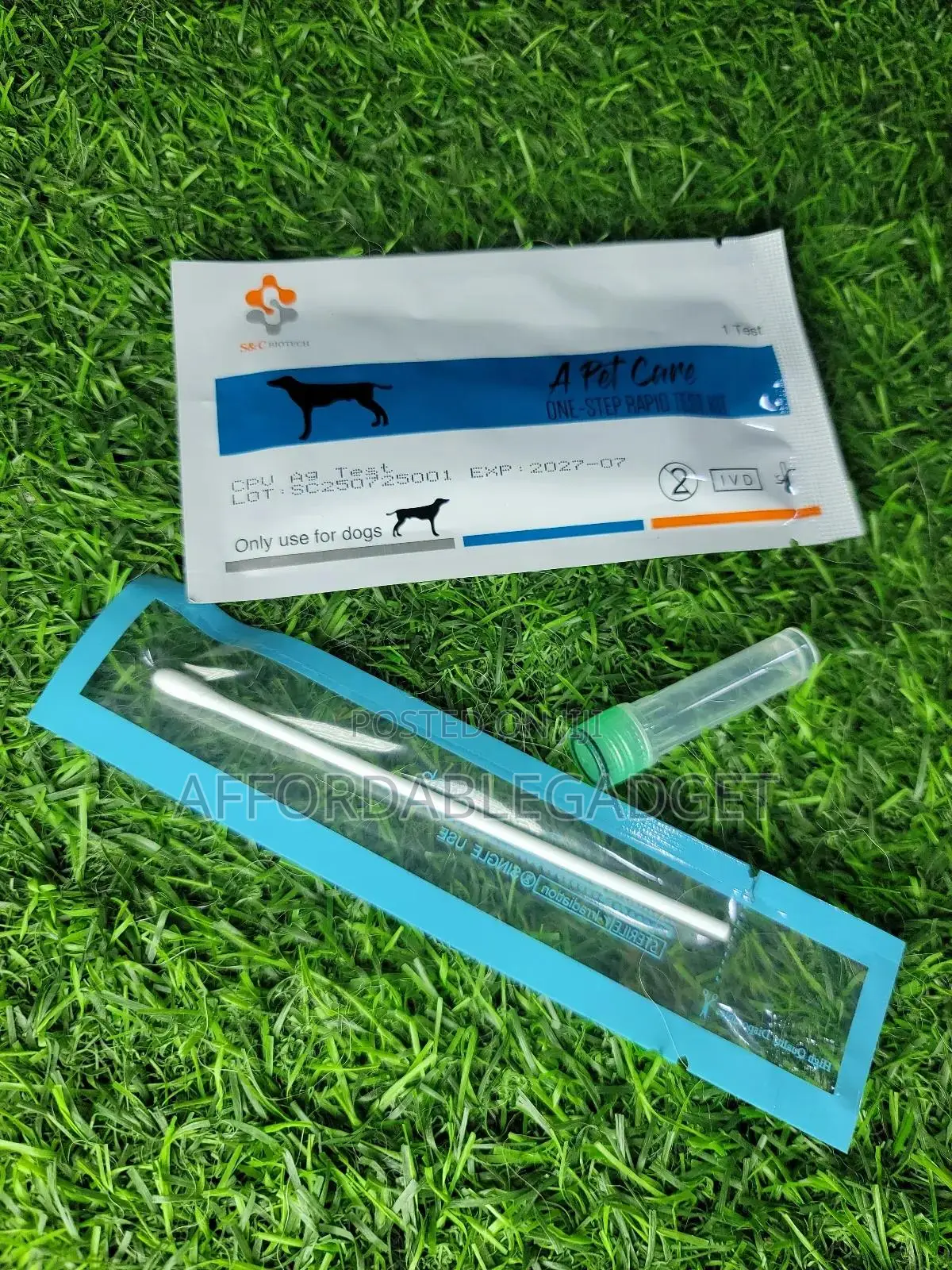 Test for Parvo in Dogs