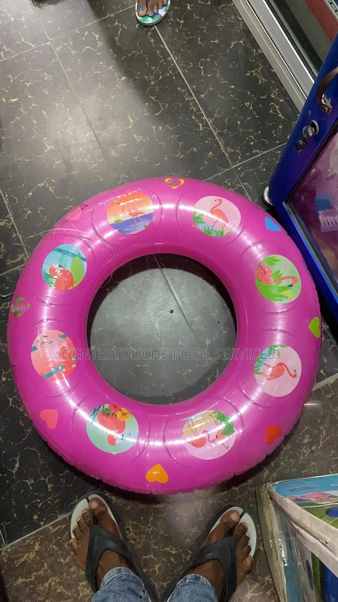 Pool Floaters