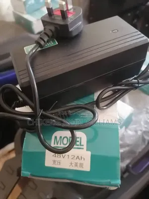 Electric Bike Charger