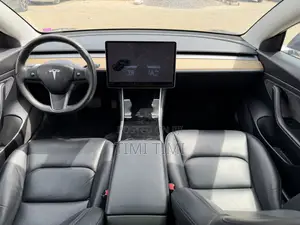 Tesla Model 3 P75D kWh Performance 2020 Gray